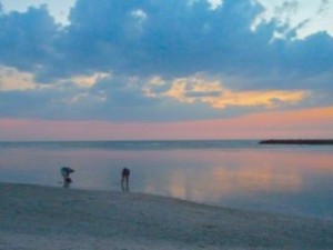shell collecting sunset shell collecting sunset