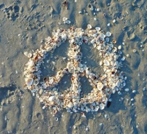 shell peace shell peace