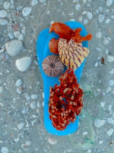 spongy shoe