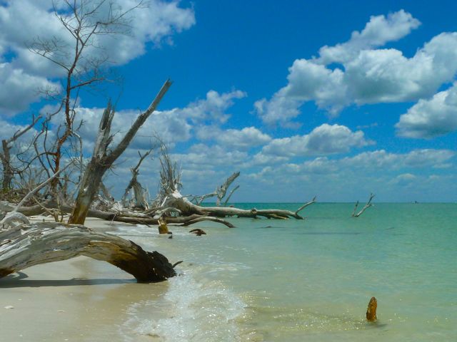 Cayo Costa Beach
