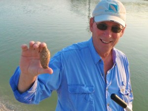 Clark and his junonia Clark and his junonia
