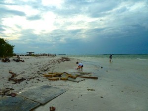 Sanibel east end Sanibel east end