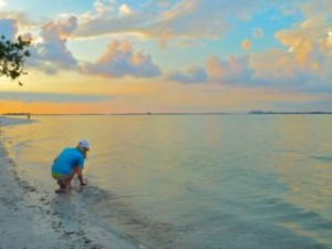 Sanibel shelling at sunset