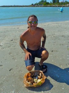 Seashells Mike Seashells Mike