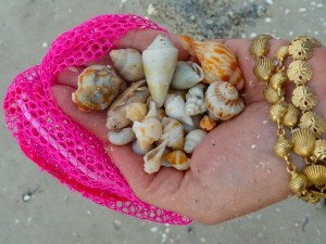 hand of seashells Nutmeg seashells and Bracelet