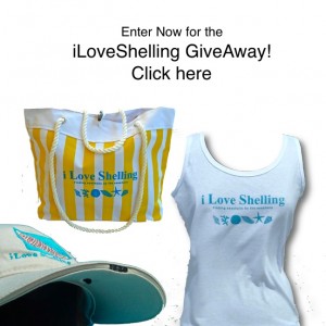 iLoveShelling GiveAway iLoveShelling GiveAway
