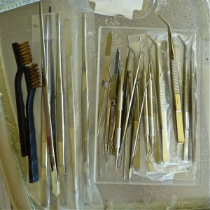 seashells cleaning tools seashells cleaning tools