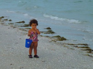 Baby with shell bucket on Sanibel Baby with shell bucket on Sanibel