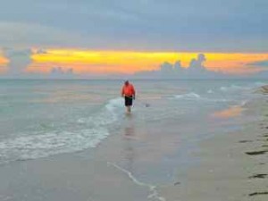Clark walking surf for shells