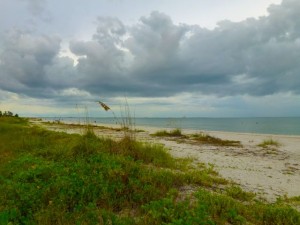 Donax beach access Sanibel
