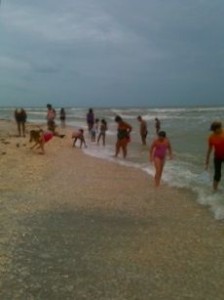 Seashells and shell seekers Seashells and shell seekers