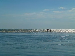 Shellers in gulf