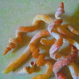 Worm shell painting byMelinda Henderson copy Worm shell painting byMelinda Henderson copy