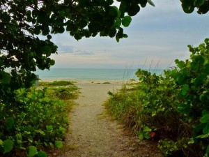 Sanibel beach path wg6