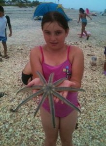millipede starfish millipede starfish