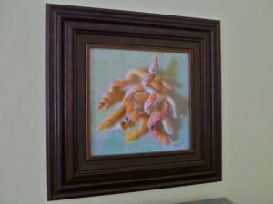seashell painting seashell painting