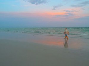 walking beach at sunset walking beach at sunset