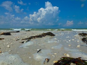 Barefoot beach high tide Barefoot beach high tide
