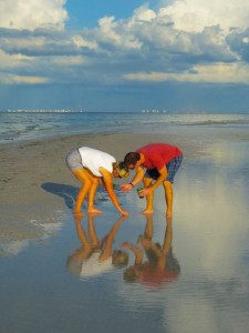 Sanibel Crabbing