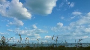 Dragonfly sky