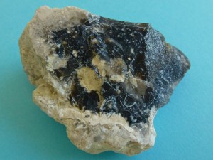 Florida geode agatized coral nodule Florida geode agatized coral nodule