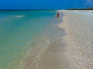 Honeymoon Island Florida beach Honeymoon Island Florida beach
