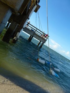 Sanibel fishing pier rainman