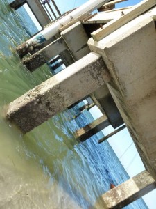 Under Sanibel Pier rainman