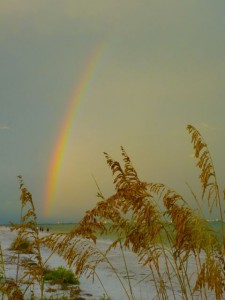 rainbow sea oats rainbow sea oats