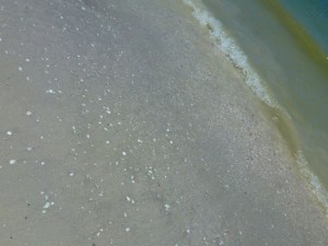 rainman beach
