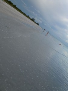 rainmanside view