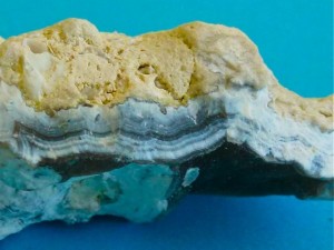 sandwiched agaized coral geode sandwiched agaized coral geode