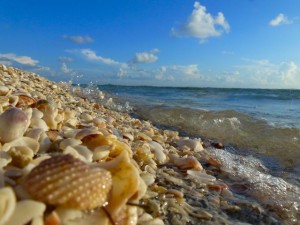 shells at Blind Pass