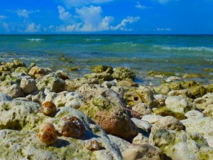 turbans on rocks honeymoon island turbans on rocks honeymoon island