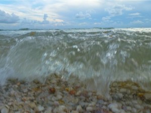 wave of shells wave of shells