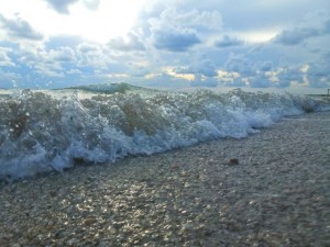 wave to shells wave to shells