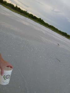 Sanibel rainman cup