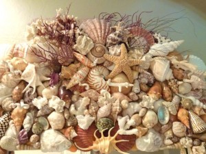 Seashell mirror top dmm