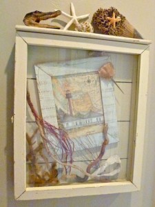 Seashell wall art dmm