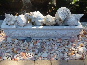 Seashells in planter dmm Seashells in planter dmm