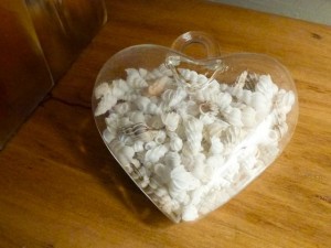 Wentletrap heart trap