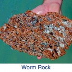 Worm Rock ID Worm Rock ID