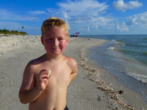 Zenith with cone shell Sanibel Zenith with cone shell Sanibel