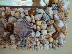 bottom shell mirror dmb