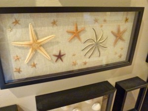 framed starfish dmm