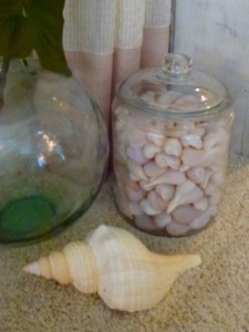 knobless wonder with figs