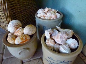 poolside seashell vessels poolside seashell vessels