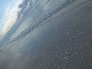rainman still life sanibel