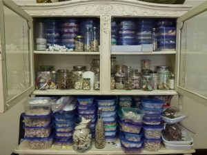 seashell cabinet seashell cabinet
