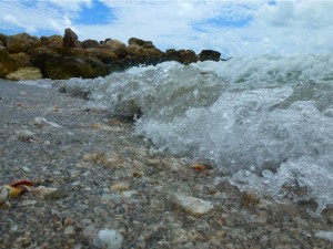 seashells in waves Blind Pass Captiva seashells in waves Blind Pass Captiva